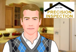 about precision inspection